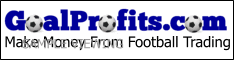 234x60 Animated Goal Profits Banner